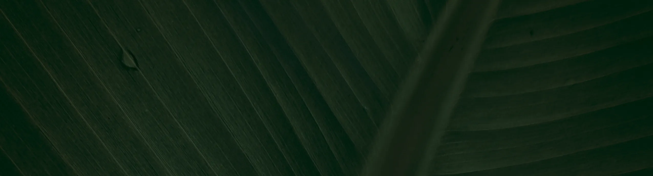 Producto de prueba descargable pdf