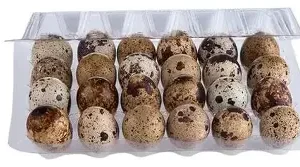 huevos codorniz 24 unidades